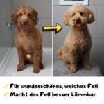 Moki Bär Leave-In-Conditioner 200 ml mit Arganöl – Pflegespray für geschmeidiges Hundefell – Bild 2