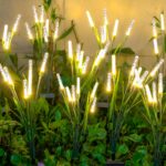 DooYard Solar Glühwürmchen Gartenleuchten 2er Set – Acryl-Außendeko mit flexiblem Stängel