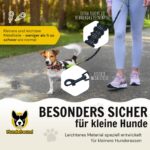 Hundefreund Joggingleine für kleine Hunde bis 15 kg – Freihandleine mit Bauchgurt – Bild 5