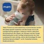 MAM Easy to Drink Cup 360° 290 ml 2er-Set – Auslaufssicherer Trinklernbecher ab 8 Monaten – Bild 7