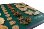 Bright Kitchen Silikon-Antihaft-Matten 14x14 cm für Excalibur Dehydrator – 9er Set – Bild 5