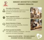 Matchpet Olivenholz Kauknochen L – Natürliches Kauspielzeug für grosse Hunde 26–35 kg – Bild 5