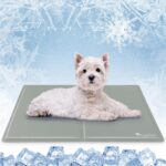 Angelpet Kühlmatte M 65x50cm – Selbstkühlende Gelmatte für Hunde & Katzen