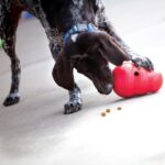 KONG Wobbler Interaktiver Futterspender – Slow Feeder für Mittelgrosse & Grosse Hunde – Bild 2
