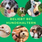 BUDDY BRUNO Hundebürste Langhaar mit Naturborsten – Entfilzungsbürste Made in Germany – Bild 9