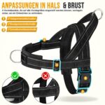 Eyein Hundegeschirr Grösse L mit Leine – Anti-Zug Brustgeschirr für grosse Hunde, reflektierend – Bild 4