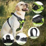 MASBRILL LED Hundegeschirr Grün S – Aufladbar & Reflektierend für sichere Nachtspaziergänge – Bild 3