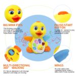 MOONTOY Musikente Spielzeug ab 1 Jahr – Interaktives Lernspielzeug mit 7 Melodien für Babys – Bild 3