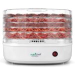 NutriChef Dörrautomat mit 5 Einschüben – 82°C Temperaturregelung für Obst, Fleisch & Gemüse