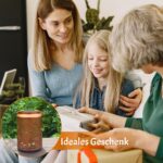 Kolibri Solarlaterne mit Musteraussparung – Solarbetriebene Gartendeko für Aussen – Bild 5