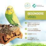 Vogelgaleria Korksitzbrett groß 20x10 cm – Natürliche Schnabel- & Krallenpflege für Wellensittiche & Papageien – Bild 2