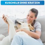 BluePet Krallenschere für Hunde & Katzen – Sicherer Schnitt mit integrierter Feile – Bild 3