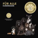 Peticare Anti-Parasiten Hundeshampoo – Juckreizlinderung mit PRS Langzeit-Wirkung – Bild 3