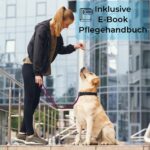 Golden Pets Hundeleine 2m reflektierend – Paracord Führleine bis 250 kg – Bild 6