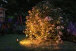 Paulmann Plug & Shine LED Gartenspot Sting Set – 3er Strahler, IP67, 2200K Warmweiß – Bild 6