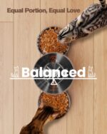 GROOKPET Futterautomat mit 2 Edelstahl-Näpfen & Timer – 5L für Katzen & Hunde – Bild 2