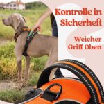 rabbitgoo Hundegeschirr L Orange – Anti-Zug mit 3 Schnallen für grosse Hunde – Bild 5
