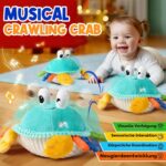 Innofans Tanzende Krabbe – Interaktives Plüschtier mit Musik & Aufnahmefunktion für Babys 6-18 Monate – Bild 2