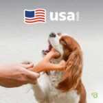 Benebone Wishbone Kauspielzeug L – Langlebiger Hundeknochen mit echtem Speck für aggressive Kauer – Bild 5