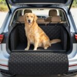 pecute Kofferraumschutz Hund L – Gesteppte Hundedecke mit Antikollisionsschutz für SUV
