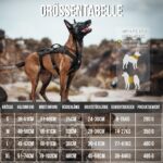 OneTigris T-Bone Hundegeschirr M – Taktisches Brustgeschirr mit 2 Griffen für Hunde – Bild 2