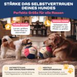Lixdee Schnüffelball für Hunde – Intelligenzspielzeug mit 4 Schwierigkeitsstufen – Bild 5