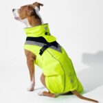 DOGOPAL Regenmantel Hund wasserdicht mit Reflektorstreifen – Gelber Hundemantel für alle Grössen – Bild 15