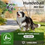 HETOO Hundeball mit Seil (M Grün) – Interaktives Hundespielzeug für Outdoor & Indoor – Bild 2