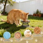 BUCOMTU Katzennapf Keramik 2er-Set – Erhöhter Futternapf mit Schnurrhaarschutz – Bild 7