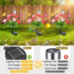 Qoosea Solar-Blumenleuchte mit Schmetterling – 2er Set Gartenleuchten IP65 – Bild 5