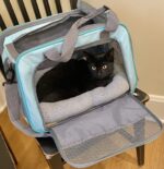 Enjoying Katzenbett 38 x 26 cm – Weiches Schlafkissen mit Kopfstütze für Katzen & kleine Hunde – Bild 6