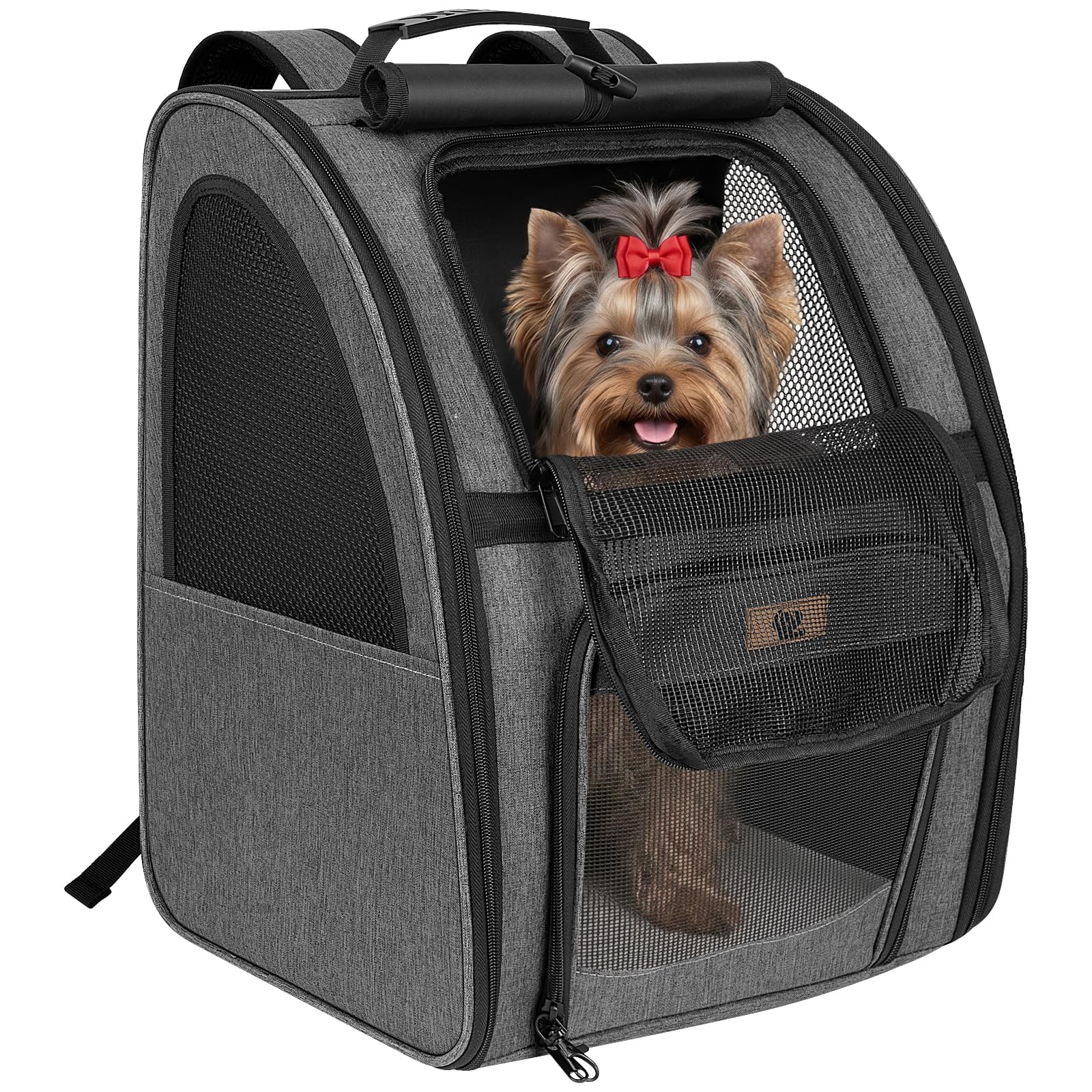 Aystkniet Haustier-Rucksack 34×29×43 cm – Ergonomisch für Katzen & kleine Hunde