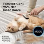 PRETTYPAW Katzenbürsten-Set 2-teilig – Sanfte Fellpflege für Kurz- & Langhaarkatzen – Bild 3