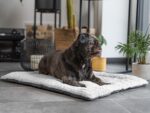 TrendPet Heaven Hundedecke 60x45cm – Wendbare Liegedecke für Hunde & Katzen – Bild 2