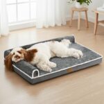 Jolibean Orthopädisches Hundebett 91x61cm – Ergonomisches Hundesofa für Mittelgrosse Hunde
