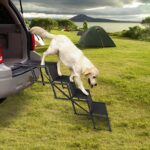CALIYO Hundetreppe klappbar bis 75 kg – 4-Stufen Einstiegshilfe für Auto, Sofa & Bett – Bild 7