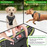 Kpuplol LED-Hundegeschirr wiederaufladbar – Leuchtgeschirr mit No-Pull-Design für alle Grössen – Bild 2