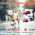 MASBRILL LED Leuchthalsband Hund Grösse S – USB-aufladbar mit 3 Lichtmodi – Bild 6