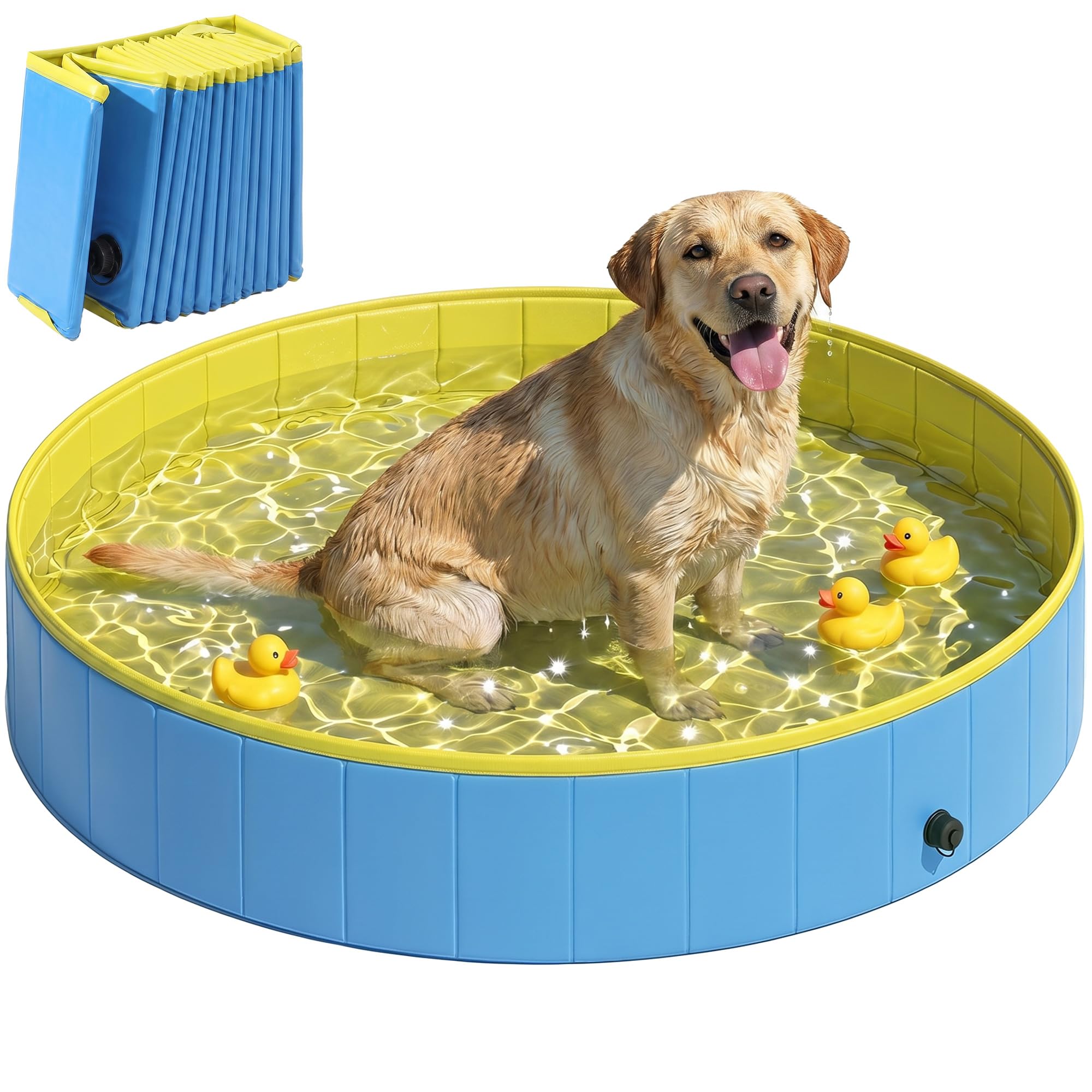 PawHut Hundepool 160 x 30 cm – Faltbares Planschbecken für grosse Hunde