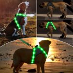 ChalkLit LED Hundegeschirr M – USB-Aufladbar mit 500m Sichtbarkeit, Grün – Bild 2