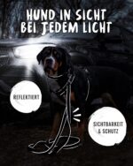 Rudelkönig Paola Hundeleine 2,30m – Verstellbare Führleine mit Reflektoren für grosse & mittlere Hunde – Bild 4