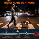 HENMI Leuchtgeschirr Set (L) mit LED & Hundeleine – Reflektierendes Sicherheitsgeschirr für mittlere Hunde – Bild 2