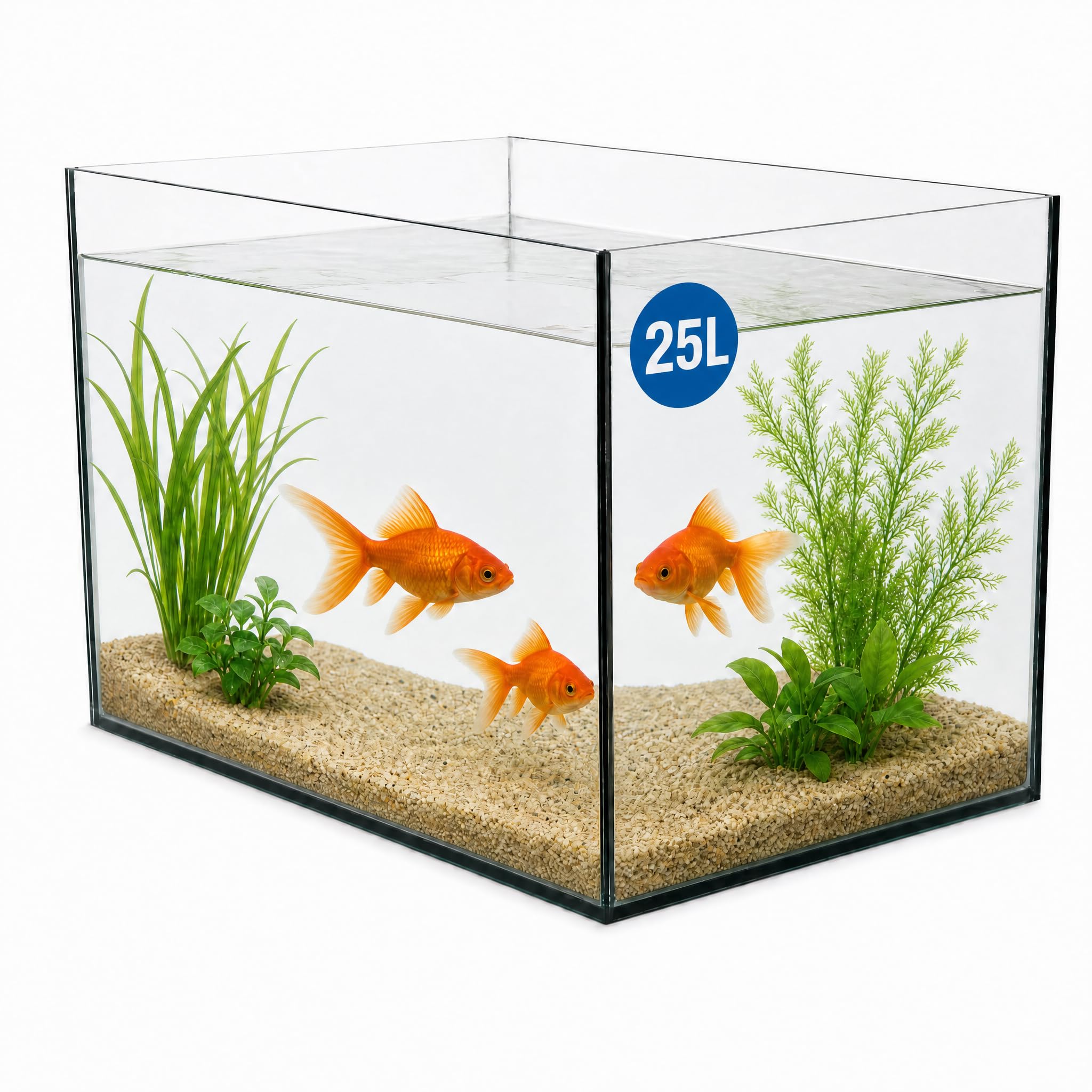 VIALIA Nano Aquarium 25 l – Glasbecken 40x25x25 cm Floatglas für Süss- & Salzwasser