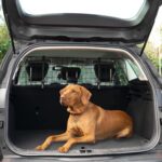 Sakura Hundegitter SS5259 – Kopfstützengitter für Pkw, flexibel verstellbar – Bild 3