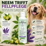 GiBoQ Premium Neem Hundeshampoo 250 ml – Natürliche Fellpflege mit Neemöl & Lavandinöl – Bild 4