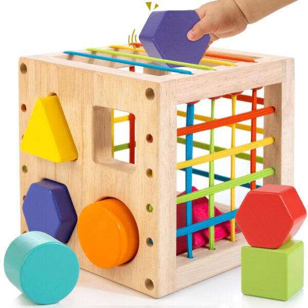 Winique Formsortier-Holzspielzeug ab 1 Jahr – Montessori Entwicklungsspielzeug für Kleinkinder