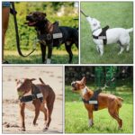 Eyein Hundegeschirr Grösse L mit Leine – Anti-Zug Brustgeschirr für grosse Hunde, reflektierend – Bild 8