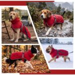 HEYWEAN Hundejacke wasserdicht mit Fleecefutter – Wärmeschutz für kleine & mittlere Hunde – Bild 7