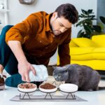 Yamitora Erhöhter Katzennapf 3er Set Keramik mit Silikon – Ergonomische Futterstation für Katzen – Bild 7