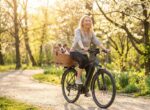 YULKA Hundefahrradkorb XL Honigbraun – Handgewebte Weide mit Gitterhaube für sicheren Hundetransport – Bild 4